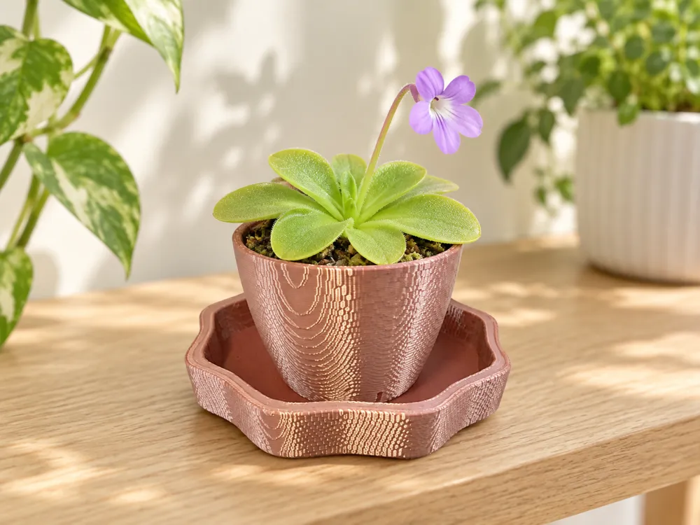 Blossom Bottom-Watering Pot, photo 3 of 4 - Blossom Bottom-Watering Pot Garden & Outdoor