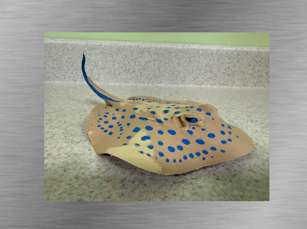 Blue spotted Stingray-Ultra-realistic Figure, photo 2 of 4 - Blue spotted Stingray-Ultra-realistic Figure Miniatures