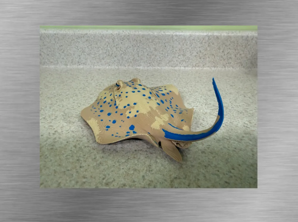 Blue spotted Stingray-Ultra-realistic Figure, photo 3 of 4 - Blue spotted Stingray-Ultra-realistic Figure Miniatures