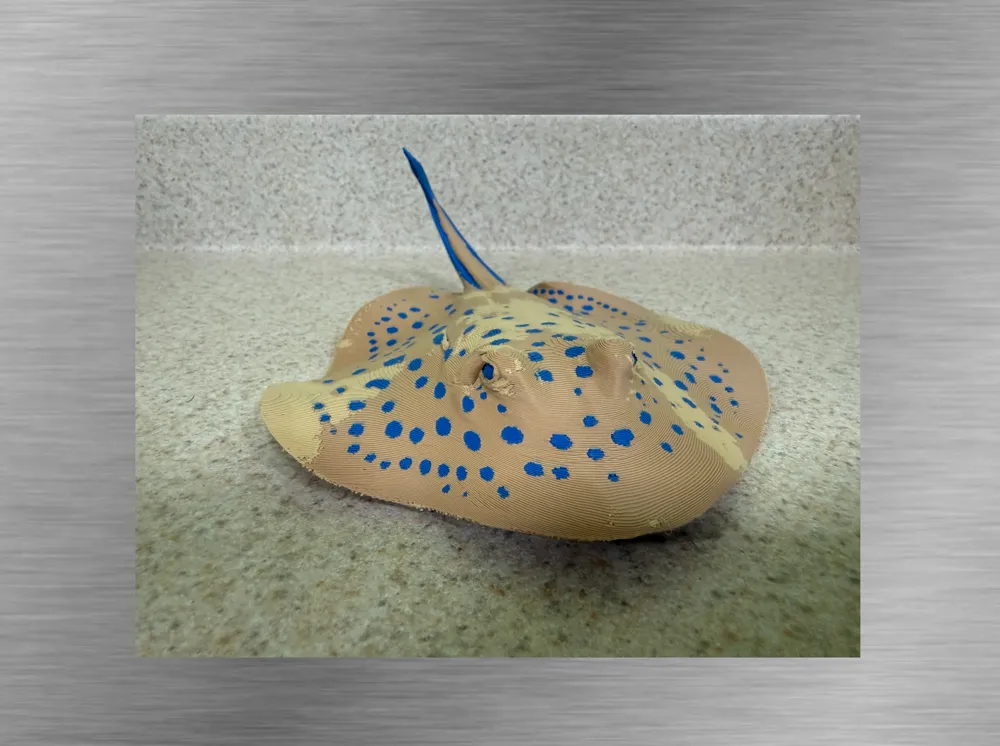 Blue spotted Stingray-Ultra-realistic Figure, photo 4 of 4 - Blue spotted Stingray-Ultra-realistic Figure Miniatures