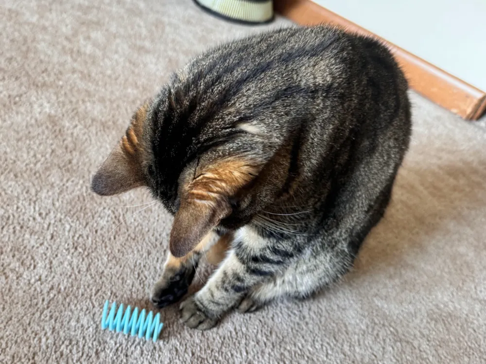 Bouncy Cat Spring Toy - Cat Toys, in stock