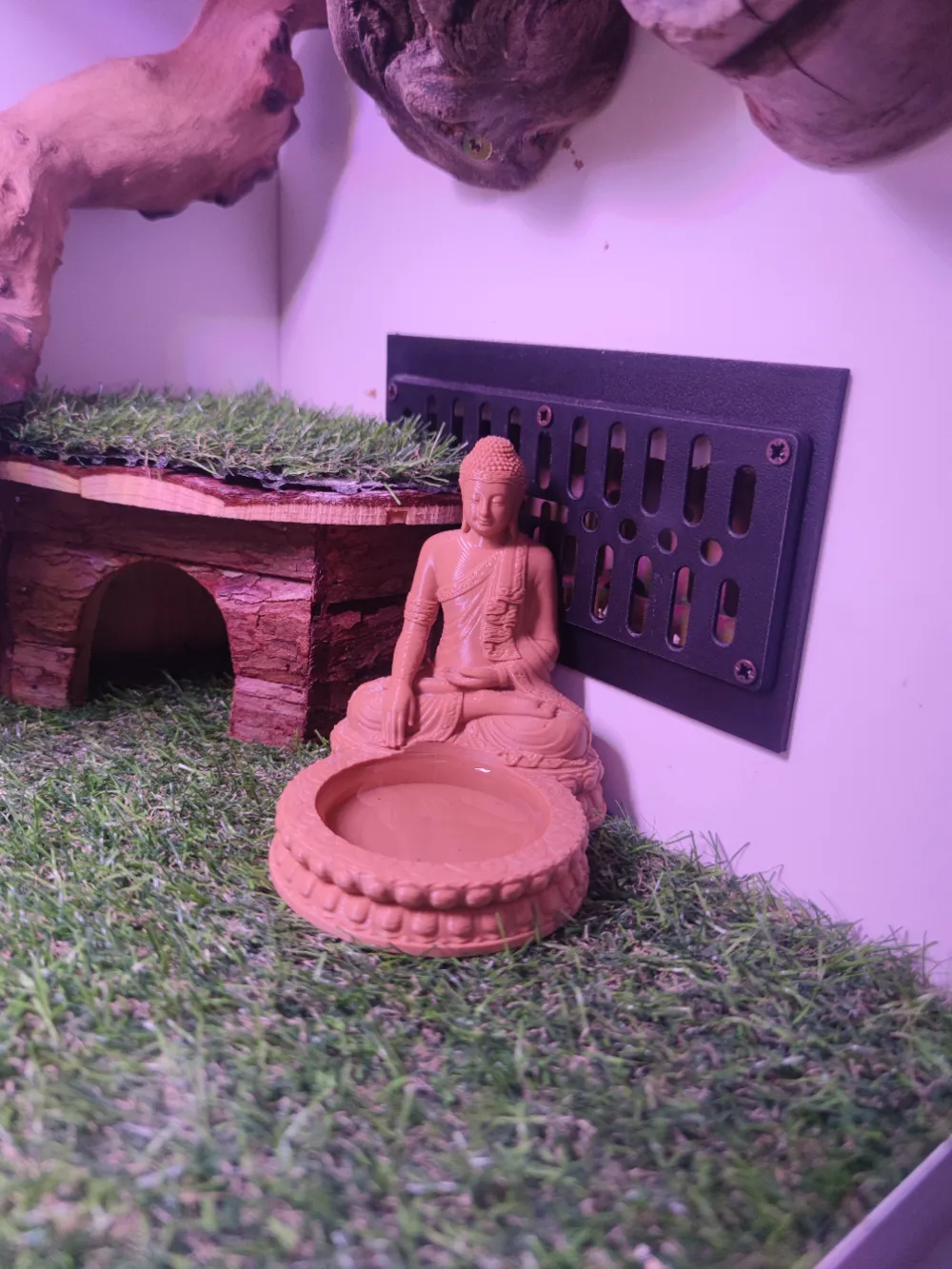 Buddha reptile waterer, photo 2 of 4 - Feeding Dishes & Insect Keepers, pets