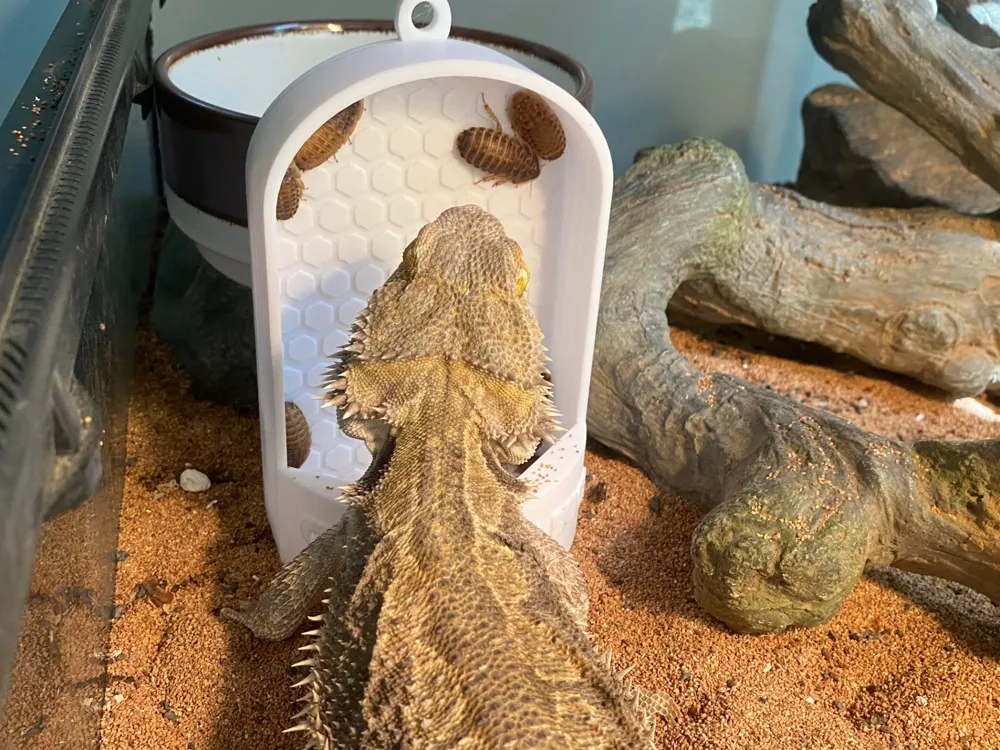 Bug Muncher - Reptile Feeder, photo 3 of 4 - Bug Muncher - Reptile Feeder Pets