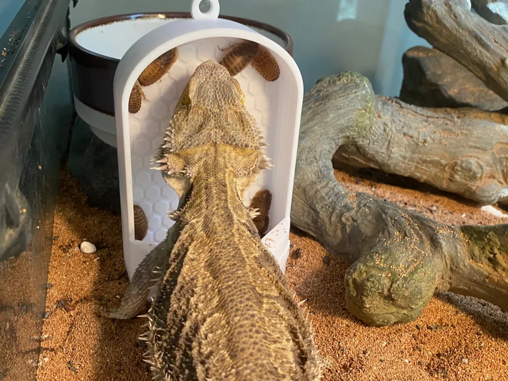 Bug Muncher - Reptile Feeder, photo 4 of 4 - Bug Muncher - Reptile Feeder Pets
