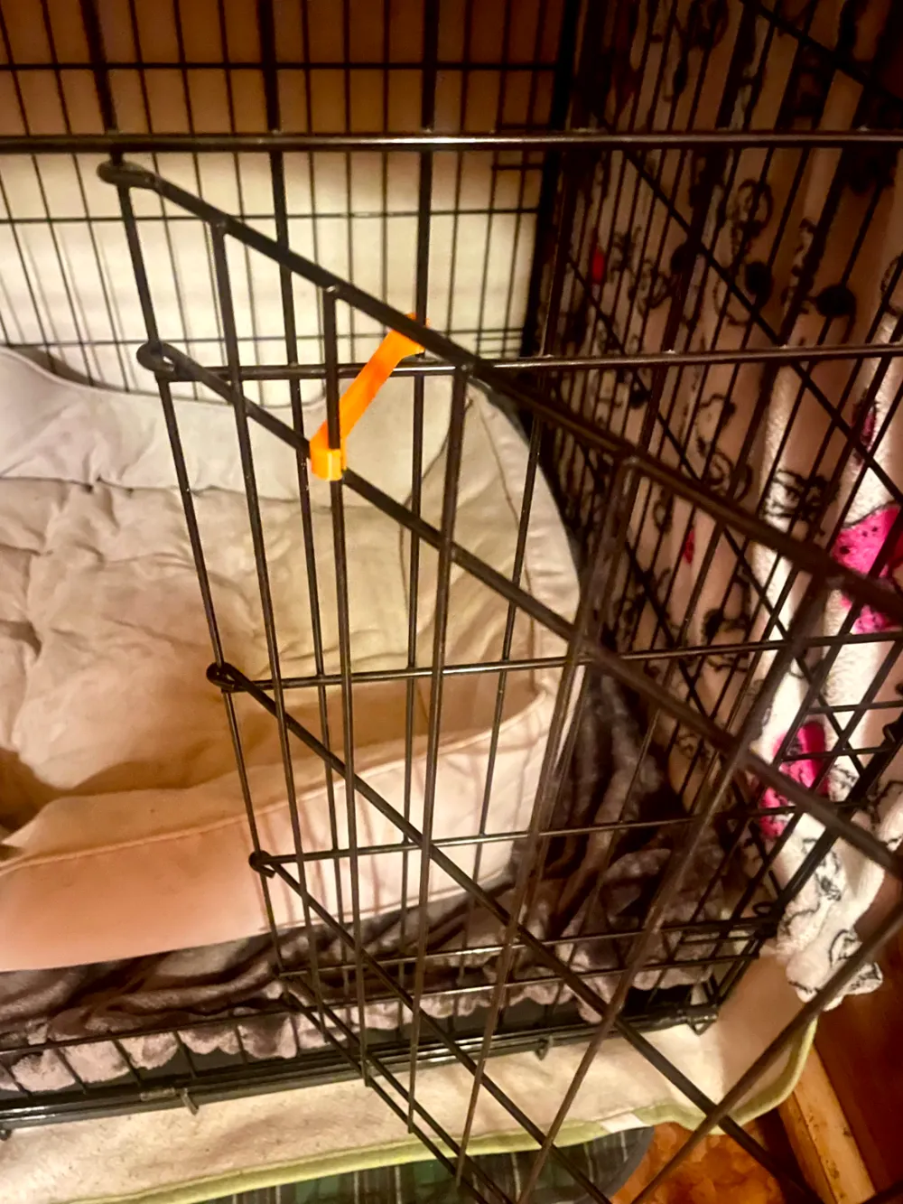 Cage / Kennel Door Clip (v.1), photo 3 of 4 - Cage / Kennel Door Clip (v.1) Pets