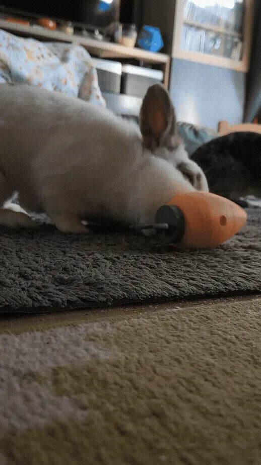 Carrot Treat Toy for Rabbits & Small Pets, photo 2 of 4 - Carrot Treat Toy for Rabbits & Small Pets Pets