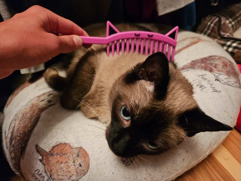 Cat Comb, photo 2 of 4 - Cat Grooming & Collars, contest
