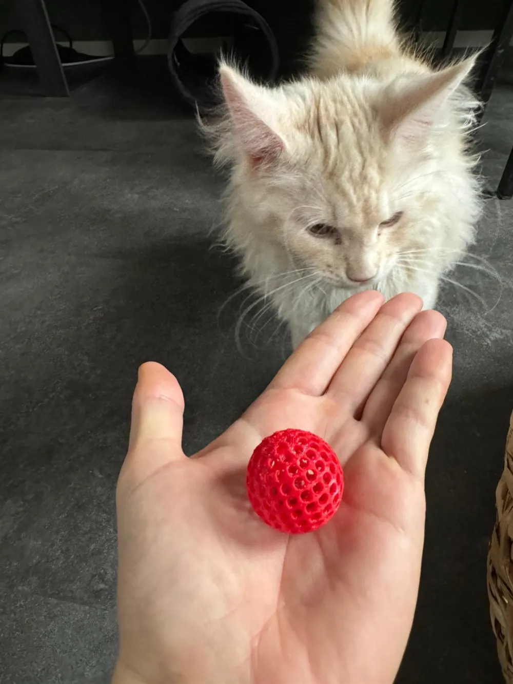 Cat Fidget Toy - Mini Ball edition, photo 4 of 4 - Animal Fidget Toys, game