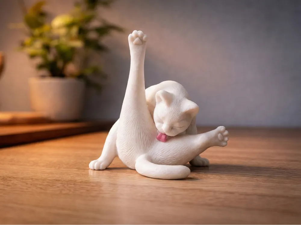Cat Grooming