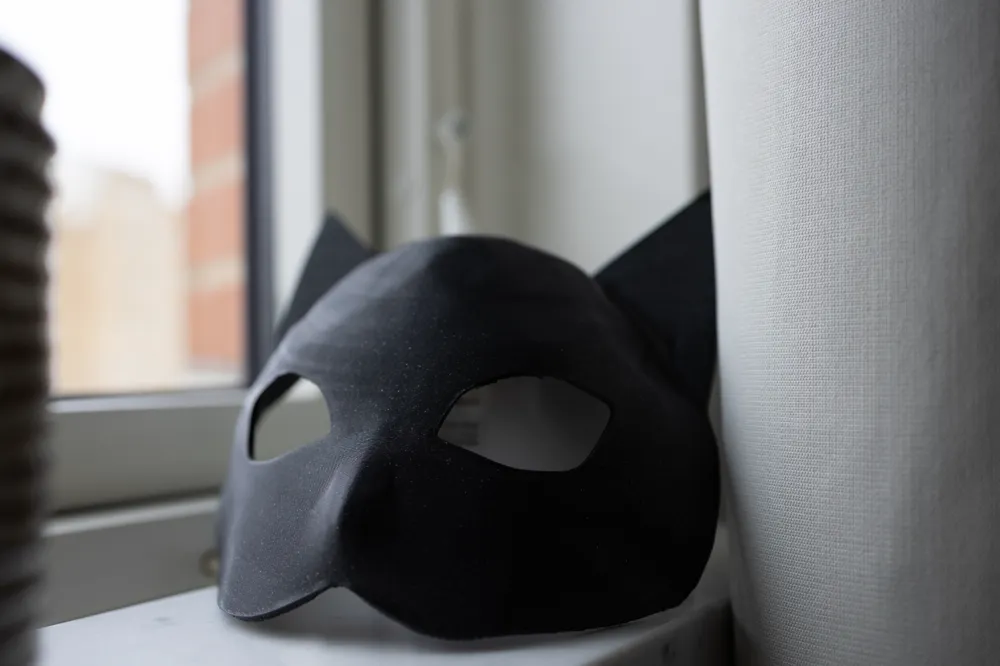Cat Mask with Low Poly Design