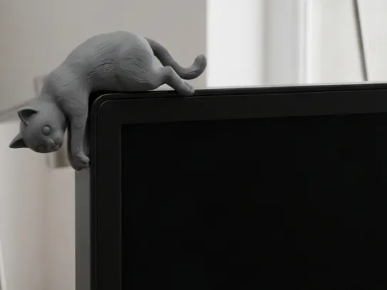 Cat Monitor Buddy
