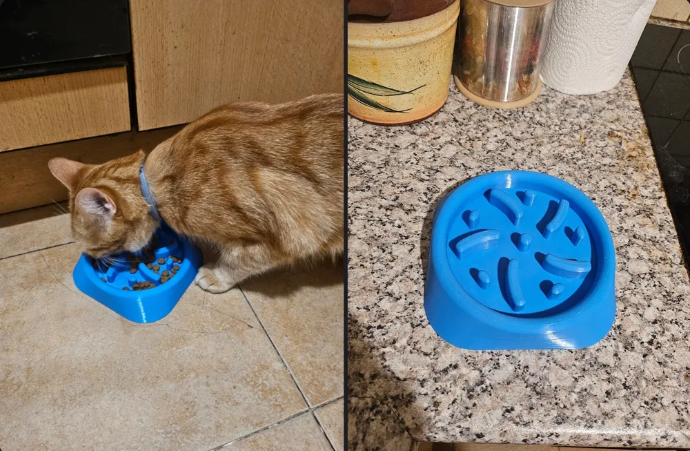cat or dog Anti glutton bowl slow feeder, photo 2 of 4 - Cat Bowls & Feeders, chat