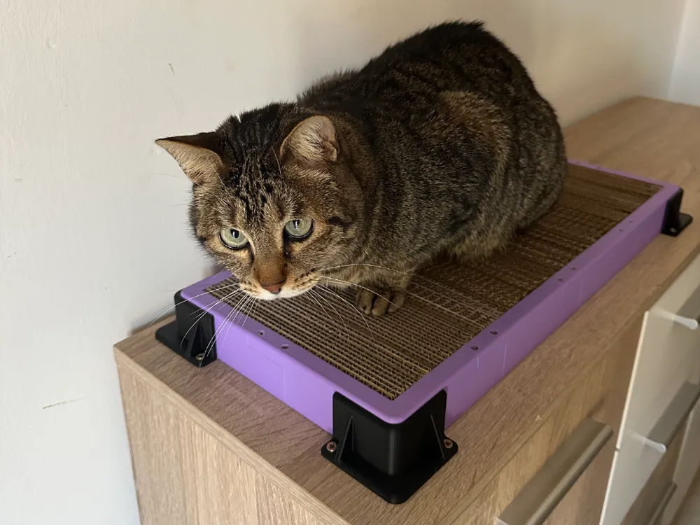 Cat scratcher
