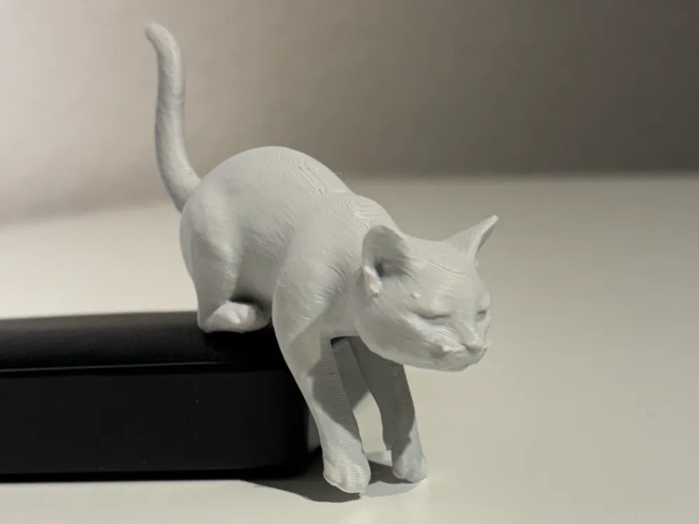 Cat Shelf Sitter, Cat goes down Step