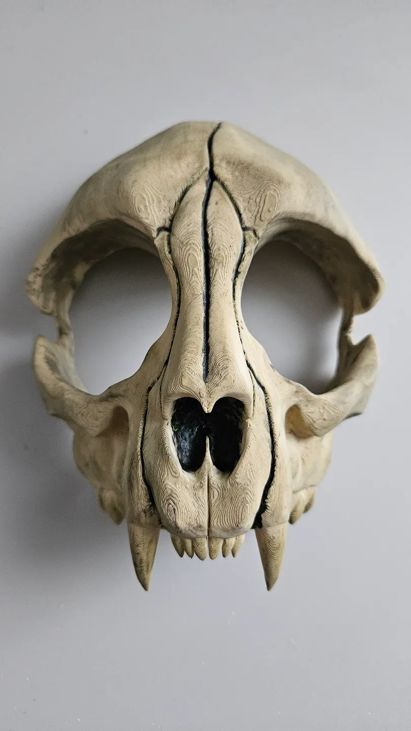 Cat Skull Mask, another view - Skull Masks, cosplay