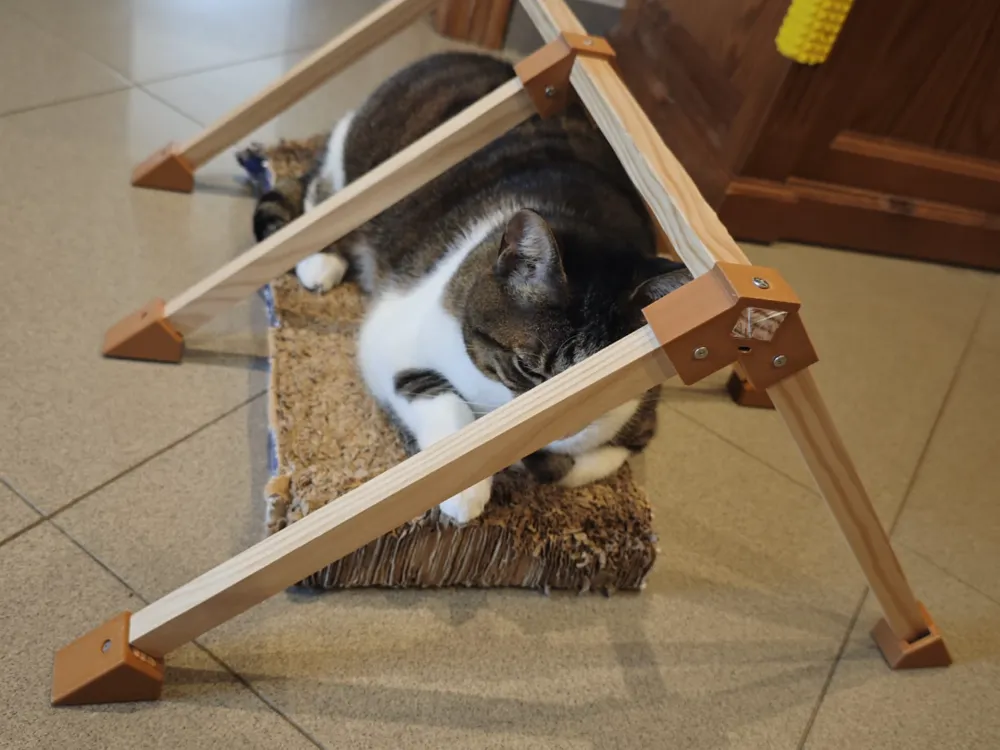 Cat tent frame for bed