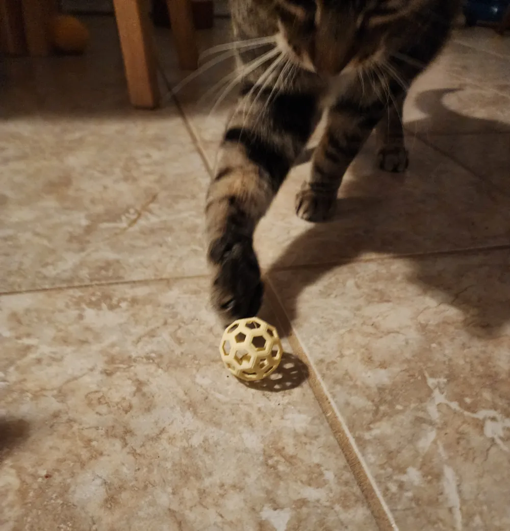 Cat Toy Ball