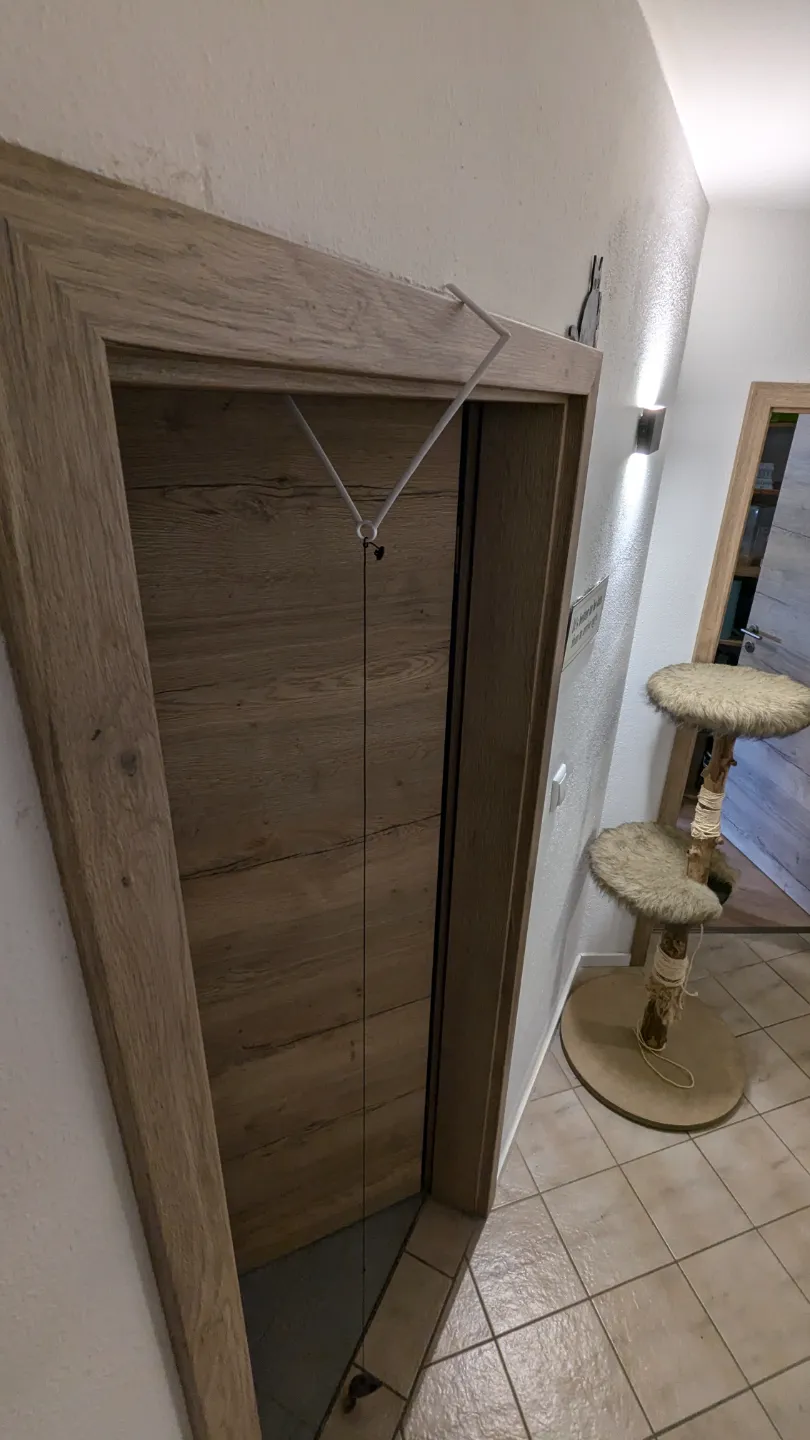 Cat Toy Holder for Doors, photo 4 of 4 - Cat Toys, pet accessories
