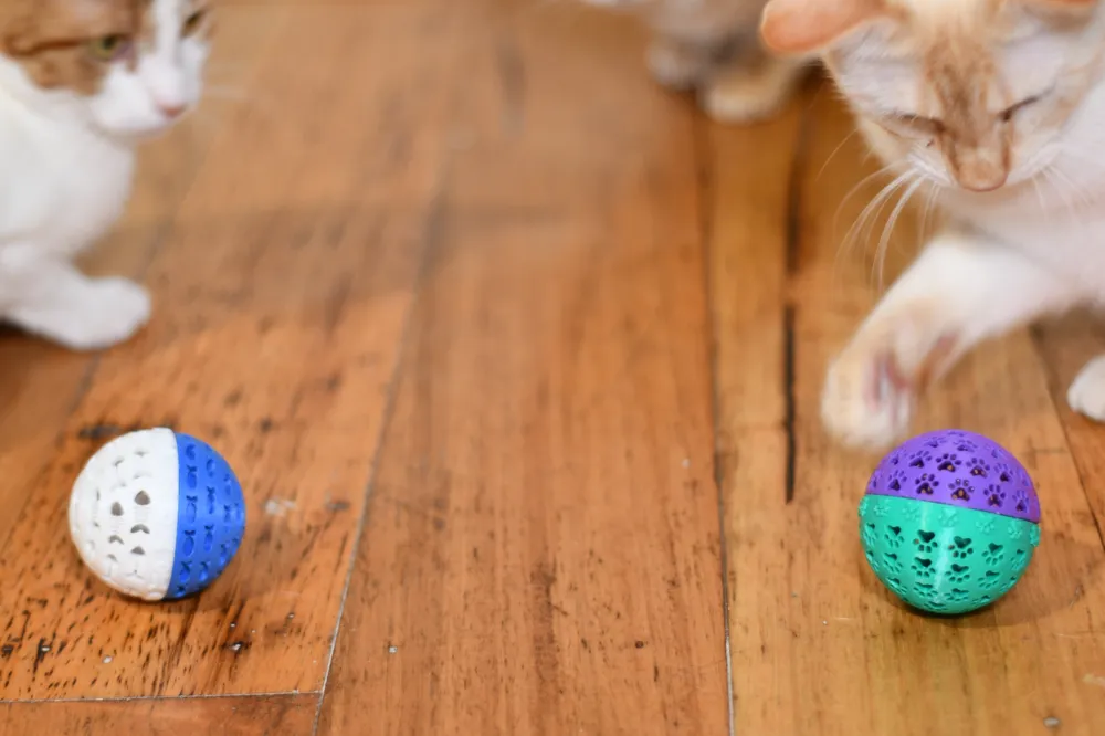 Cat Toy Poop Balls V2, photo 4 of 4 - Cat Toy Poop Balls V2 Pets