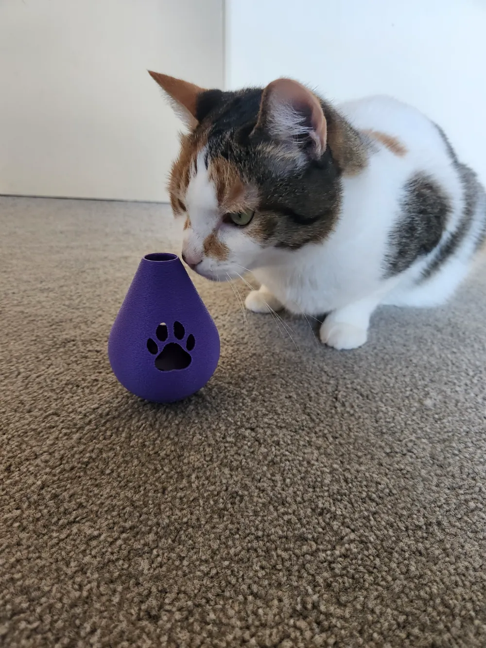 Cat Treat Dispenser (Tumbler), photo 4 of 4 - Cat Bowls & Feeders, pet