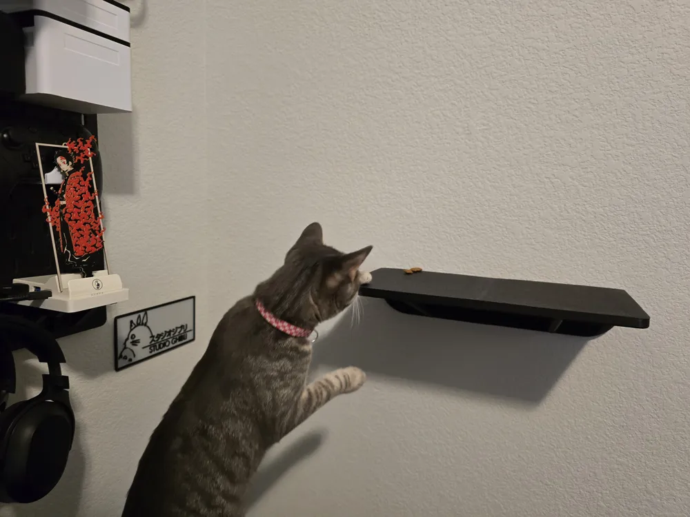 Cat Wall Shelf (180mm x 350mm) A1 Mini friendly, photo 4 of 4 - Cat Wall Shelf (180mm x 350mm) A1 Mini friendly Pets