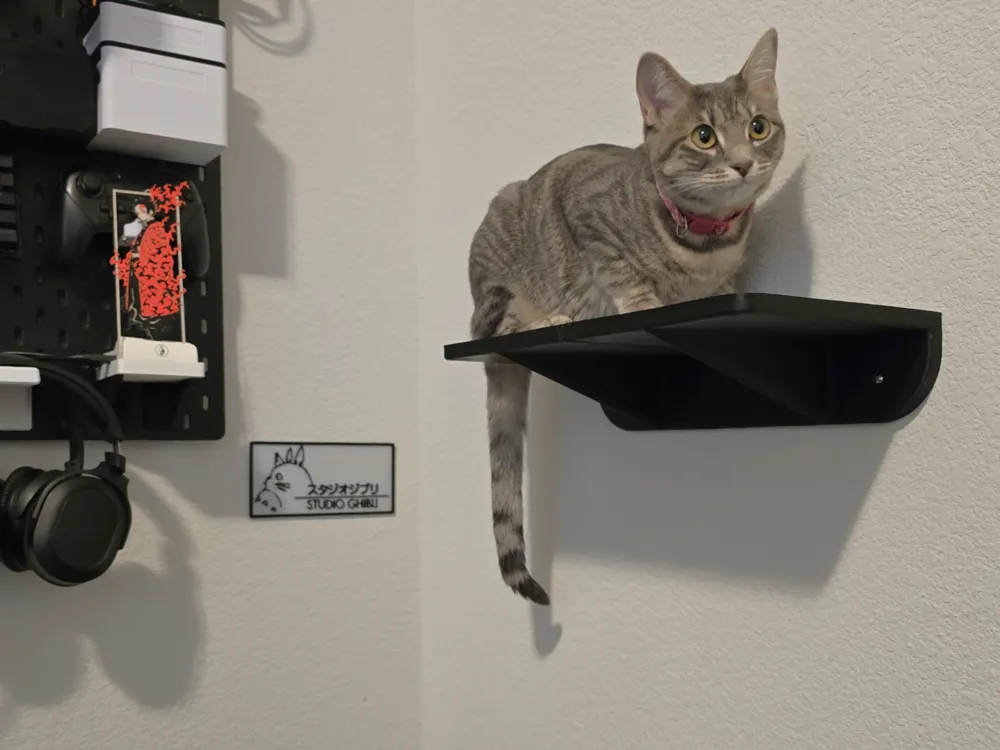 Cat Wall Shelf (180mm x 350mm) A1 Mini friendly