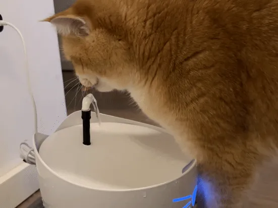 Catit Pixi Fountain Extension for extra fun - Bird Baths, in stock