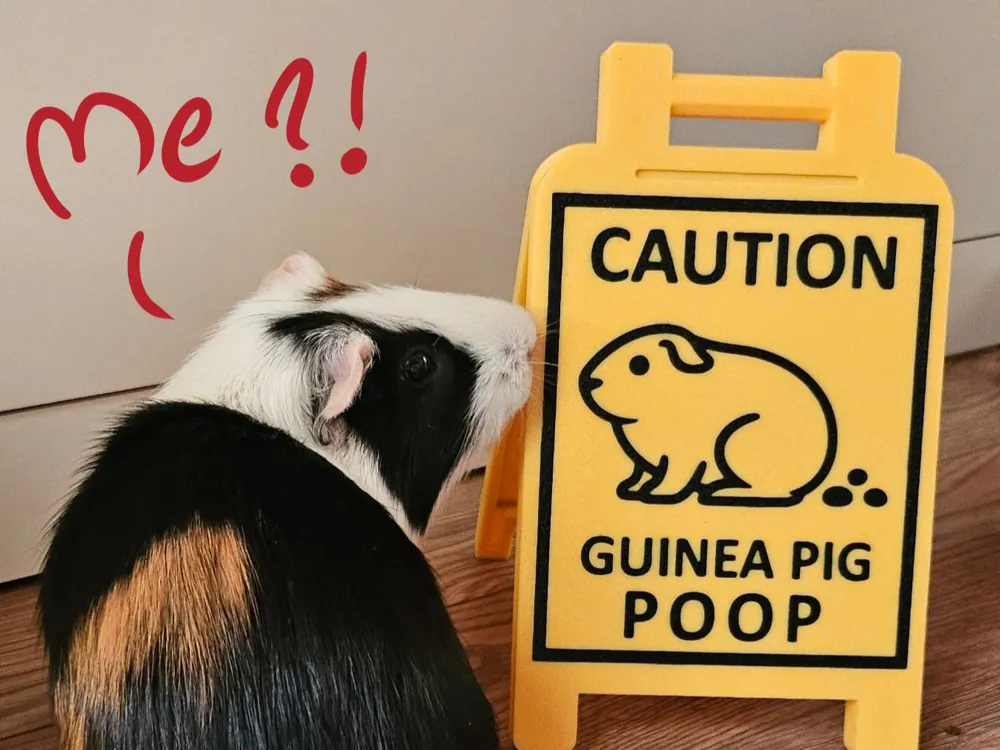 CAUTION GUINEA PIG POOP SIGN