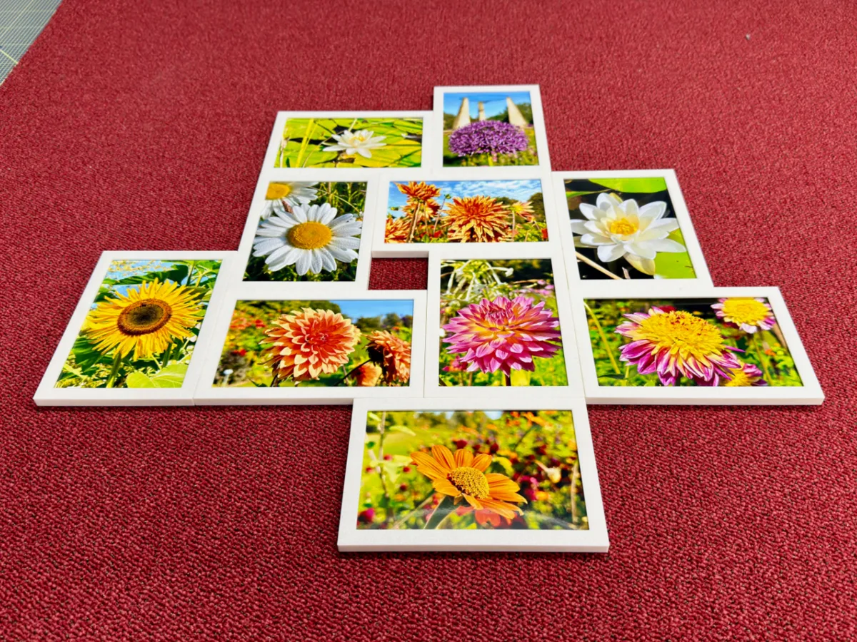 Modulare Picture Frames Collage