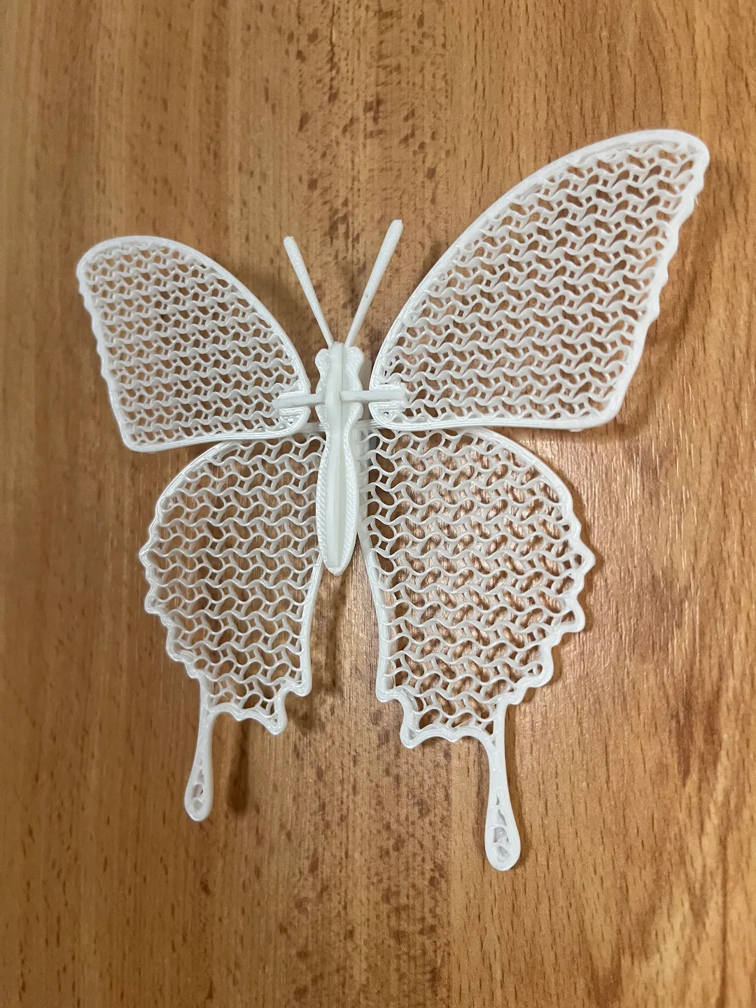 Butterfly Kit Card, photo 4 of 4 - Butterfly Kit Card Models, RC & Drones
