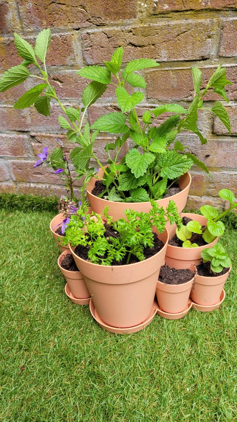 Multi Planter (7 merged planters), photo 3 of 4 - Multi Planter (7 merged planters) Garden & Outdoor