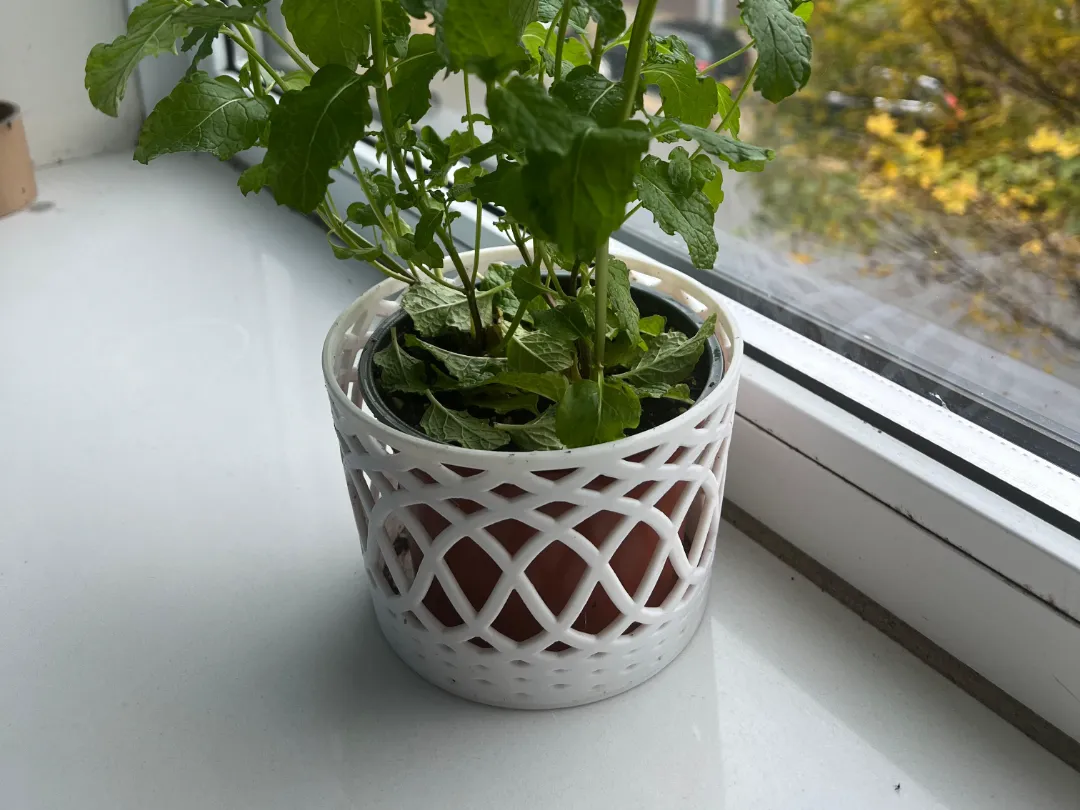 Revolution pot - Planters & Plant Pots, in stock in India