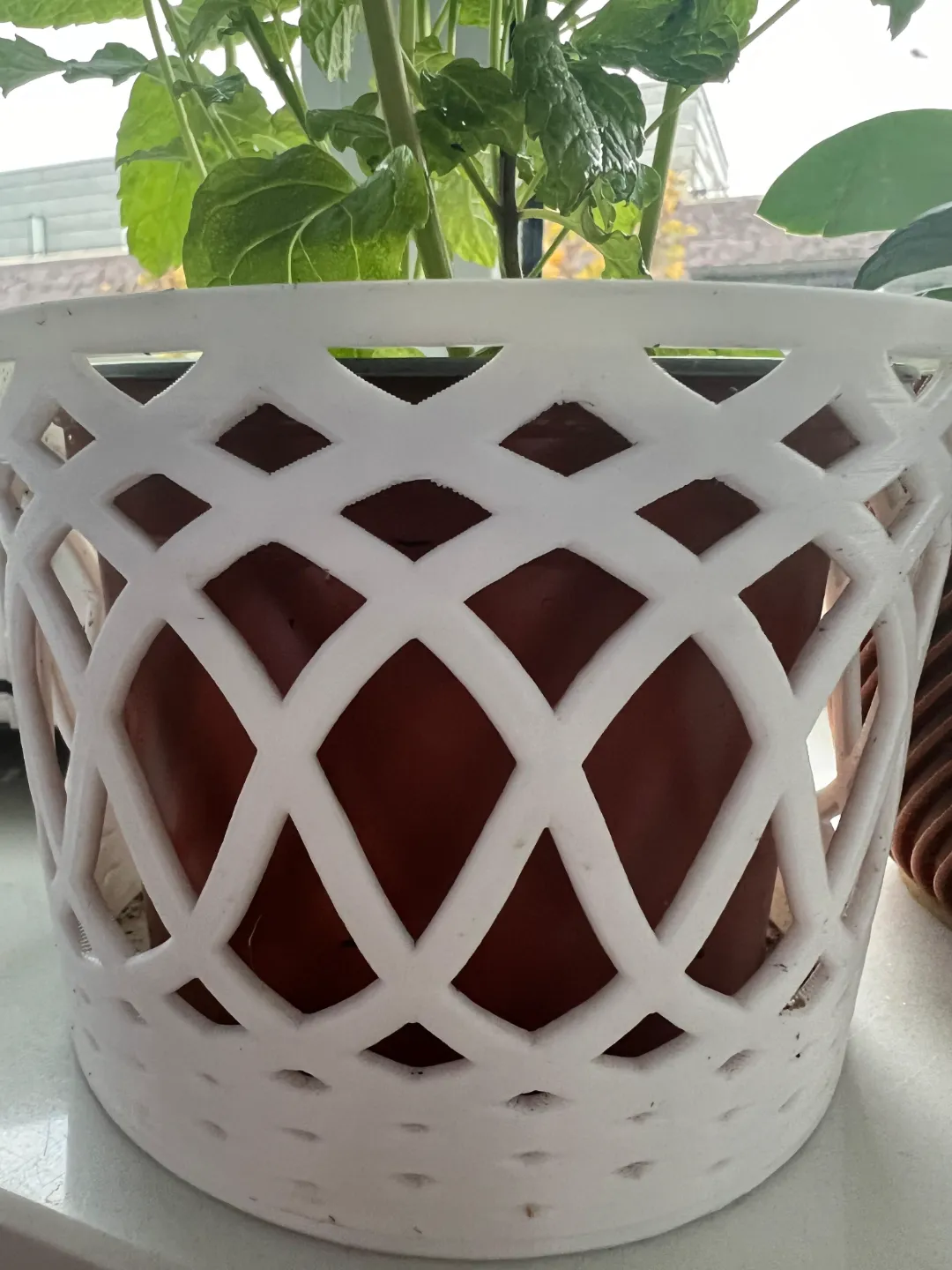 Revolution pot, photo 4 of 4 - Revolution pot Garden & Outdoor