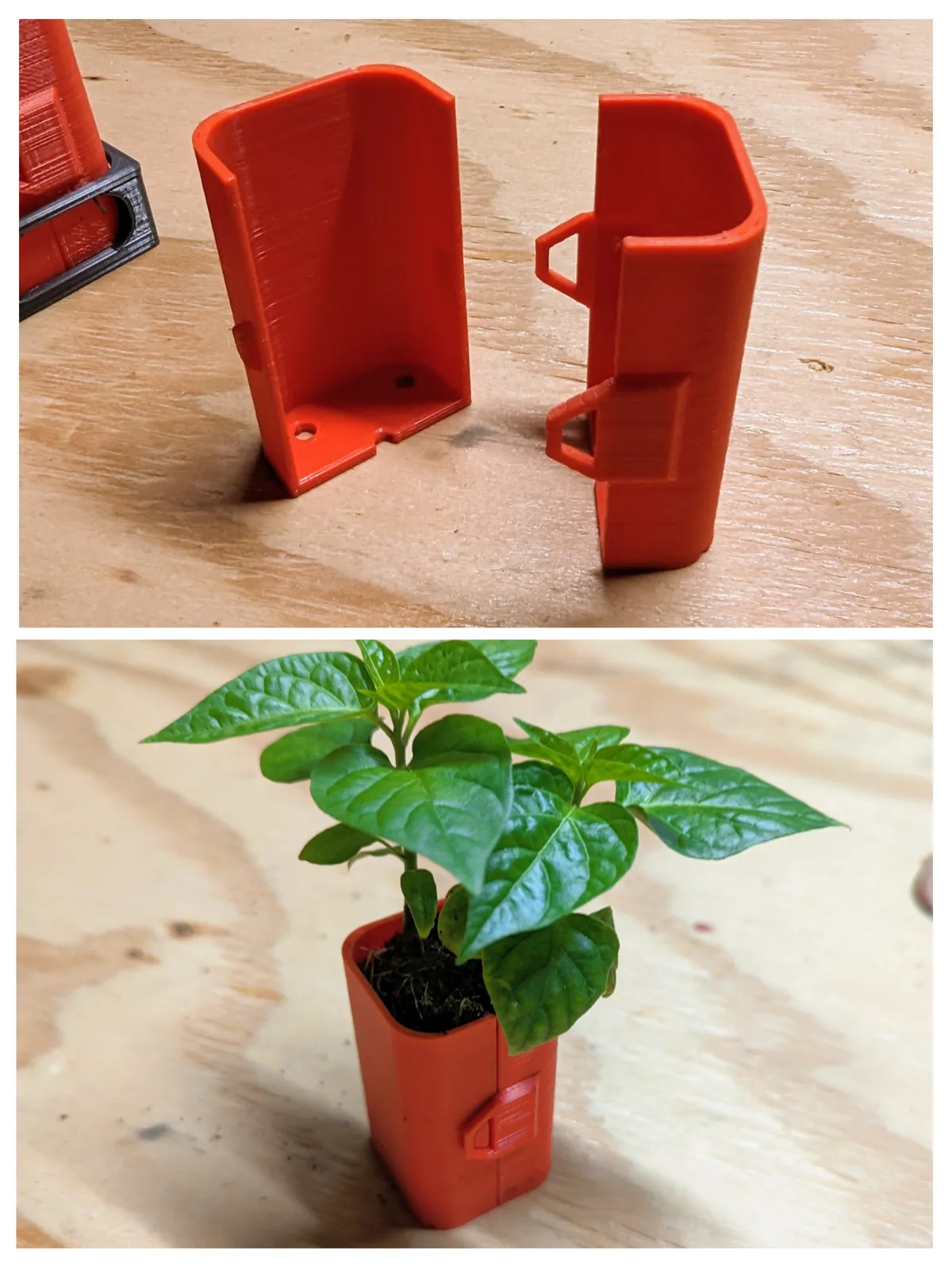 Seed/Planter Starter Cups and Tray (Self-Watering), photo 3 of 4 - Self-watering Planters, garden