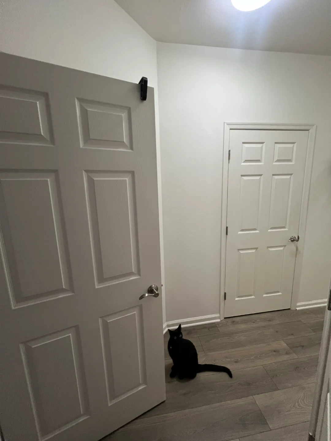 Pet Friendly Door Stopper, photo 3 of 3 - Pet Friendly Door Stopper Tools
