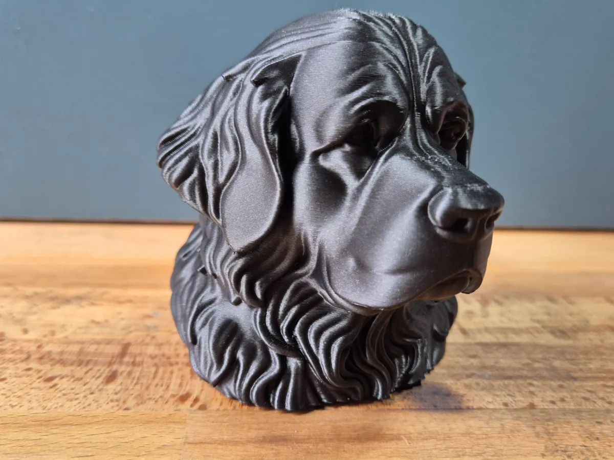 Newfoundland Dog Bust