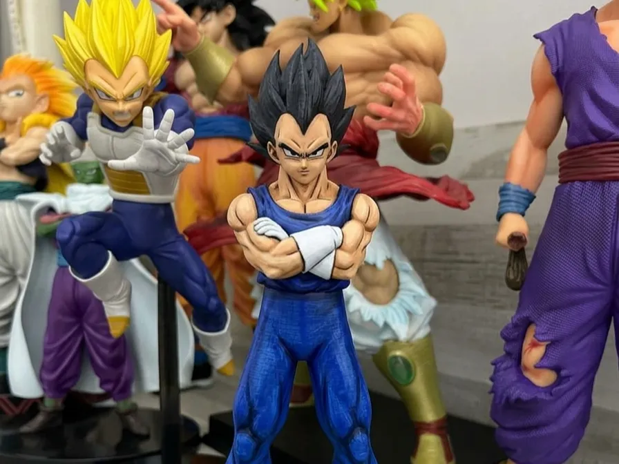 Vegeta figura and SINGLE COLOR