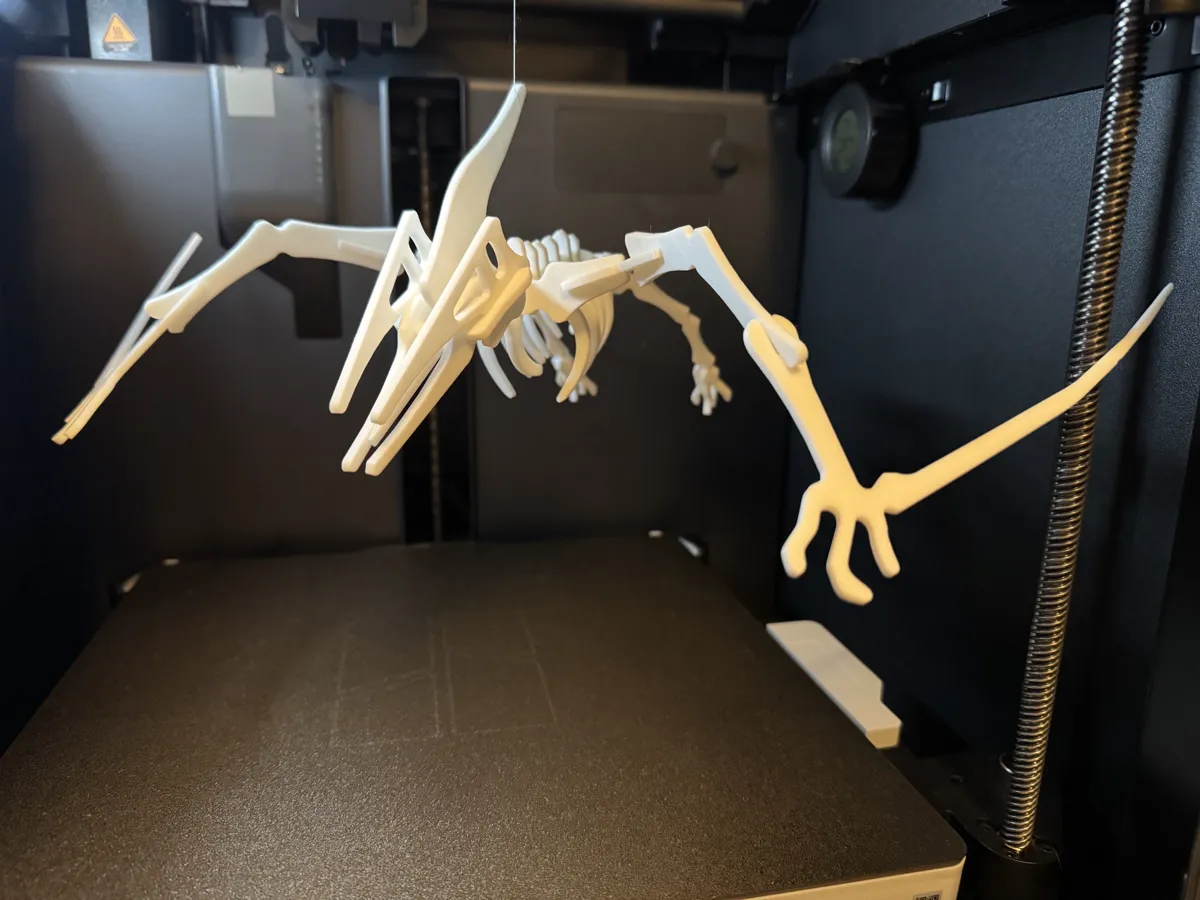 Pterodactyl Dinosaur Skeleton Puzzle - Puzzles & Brain Teasers, in stock in India