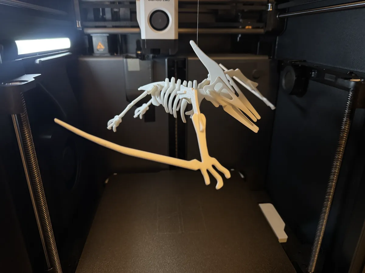 Pterodactyl Dinosaur Skeleton Puzzle, photo 2 of 4 - Pterodactyl Dinosaur Skeleton Puzzle Toys, Games & Hobbies