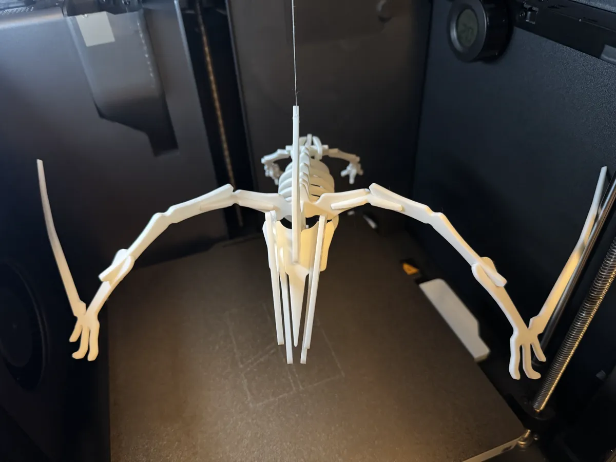 Pterodactyl Dinosaur Skeleton Puzzle, photo 4 of 4 - Pterodactyl Dinosaur Skeleton Puzzle Toys, Games & Hobbies