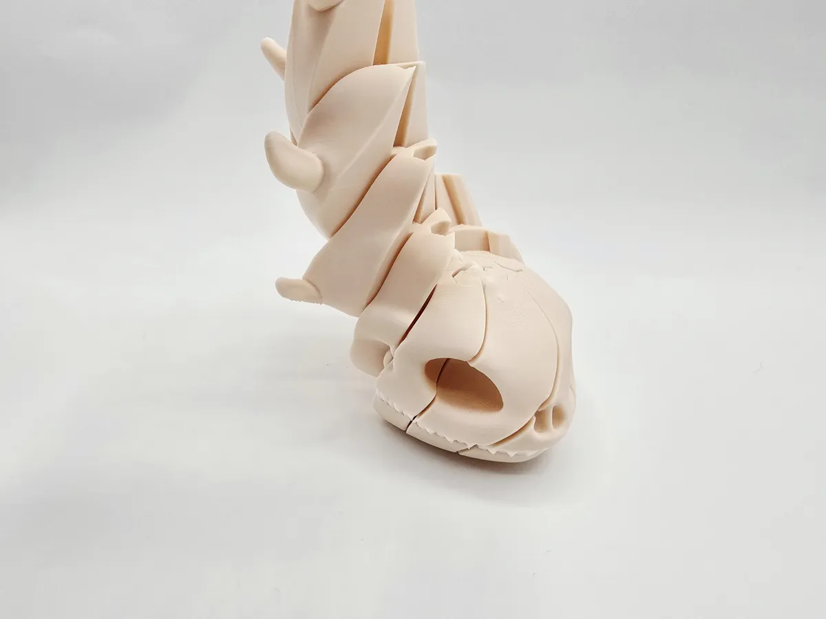 Toothless Dragon Skull Twist Fidget - Animal Fidget Toys, in stock