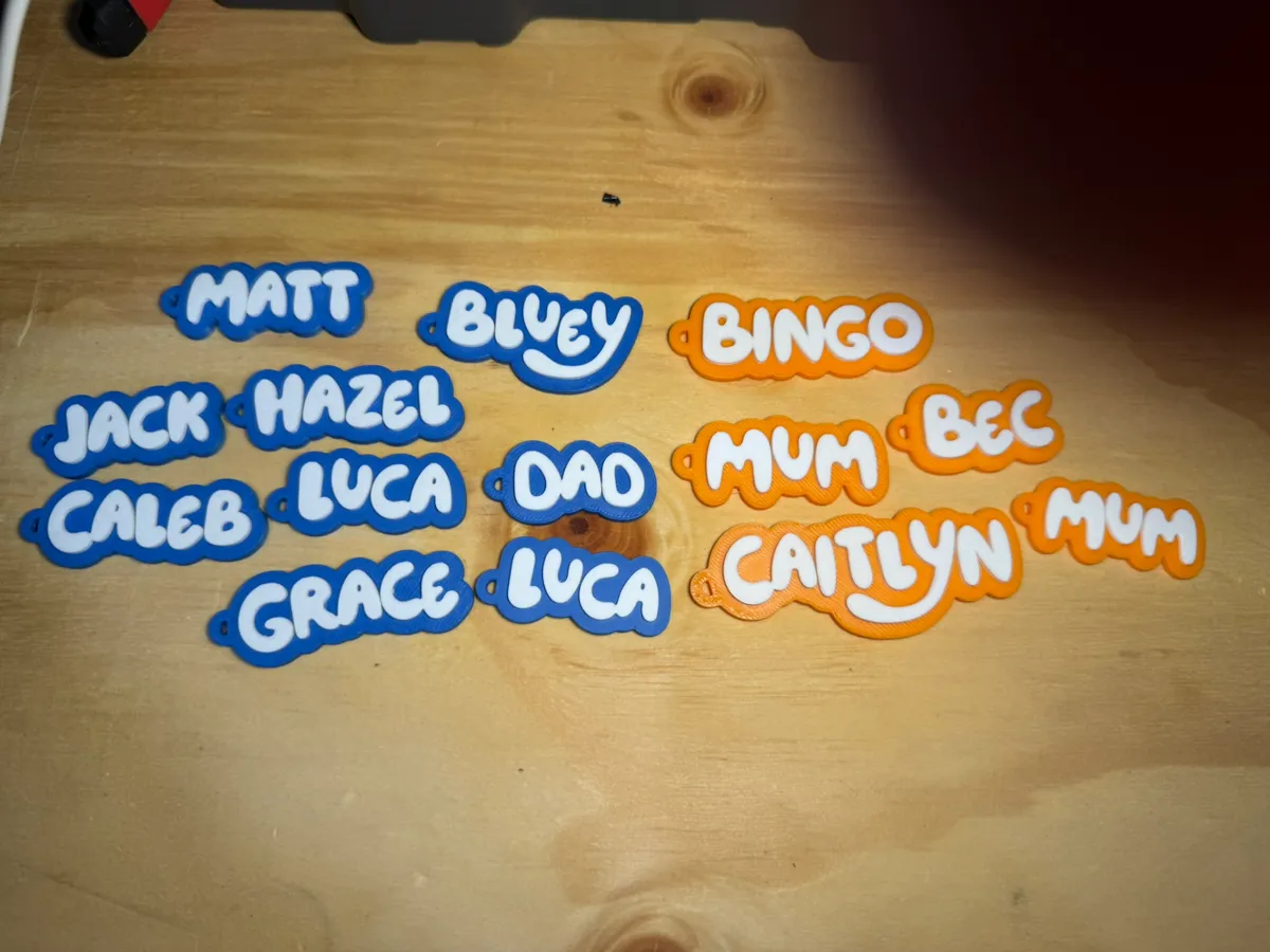 Bluey name tag / Keychain - 200+ names