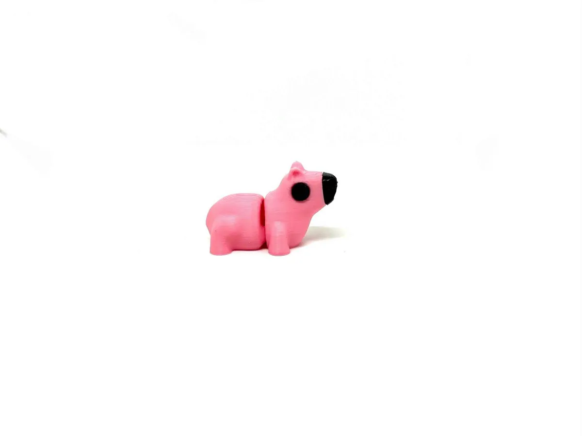 MINI Capybara !, photo 4 of 4 - MINI Capybara ! Figurines & Collectibles
