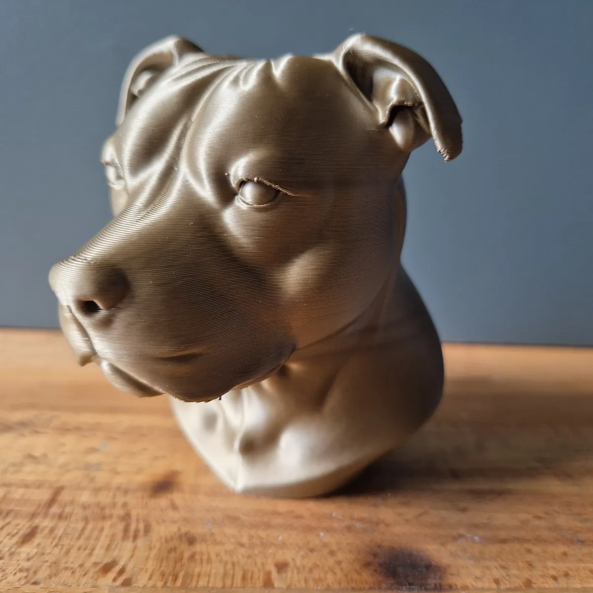 Staffordshire Bullterrier Bust, Dog Sculpture, photo 3 of 3 - Staffordshire Bullterrier Bust, Dog Sculpture Home Decor Items