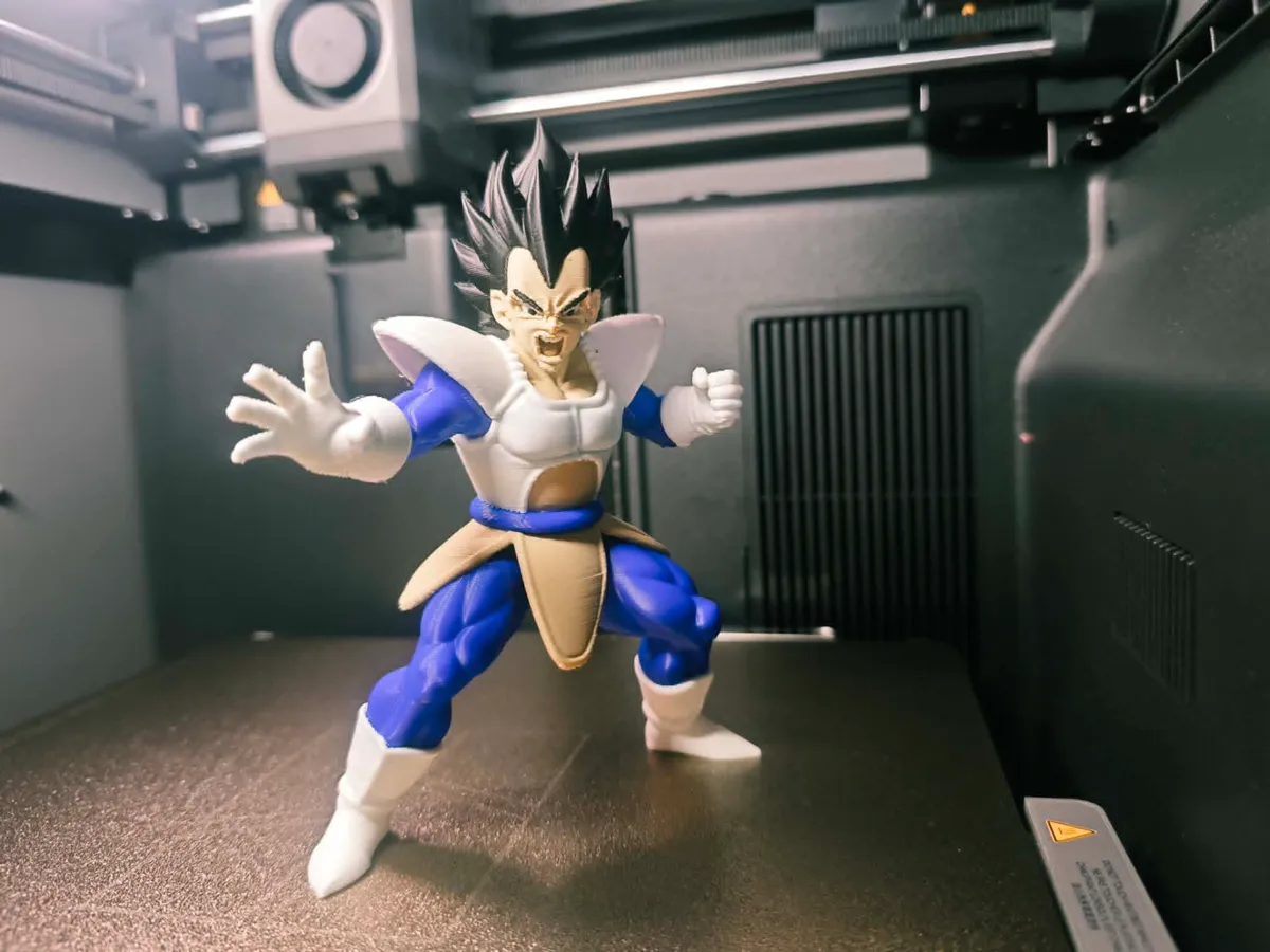 Vegeta Dragon Ball multicolor
