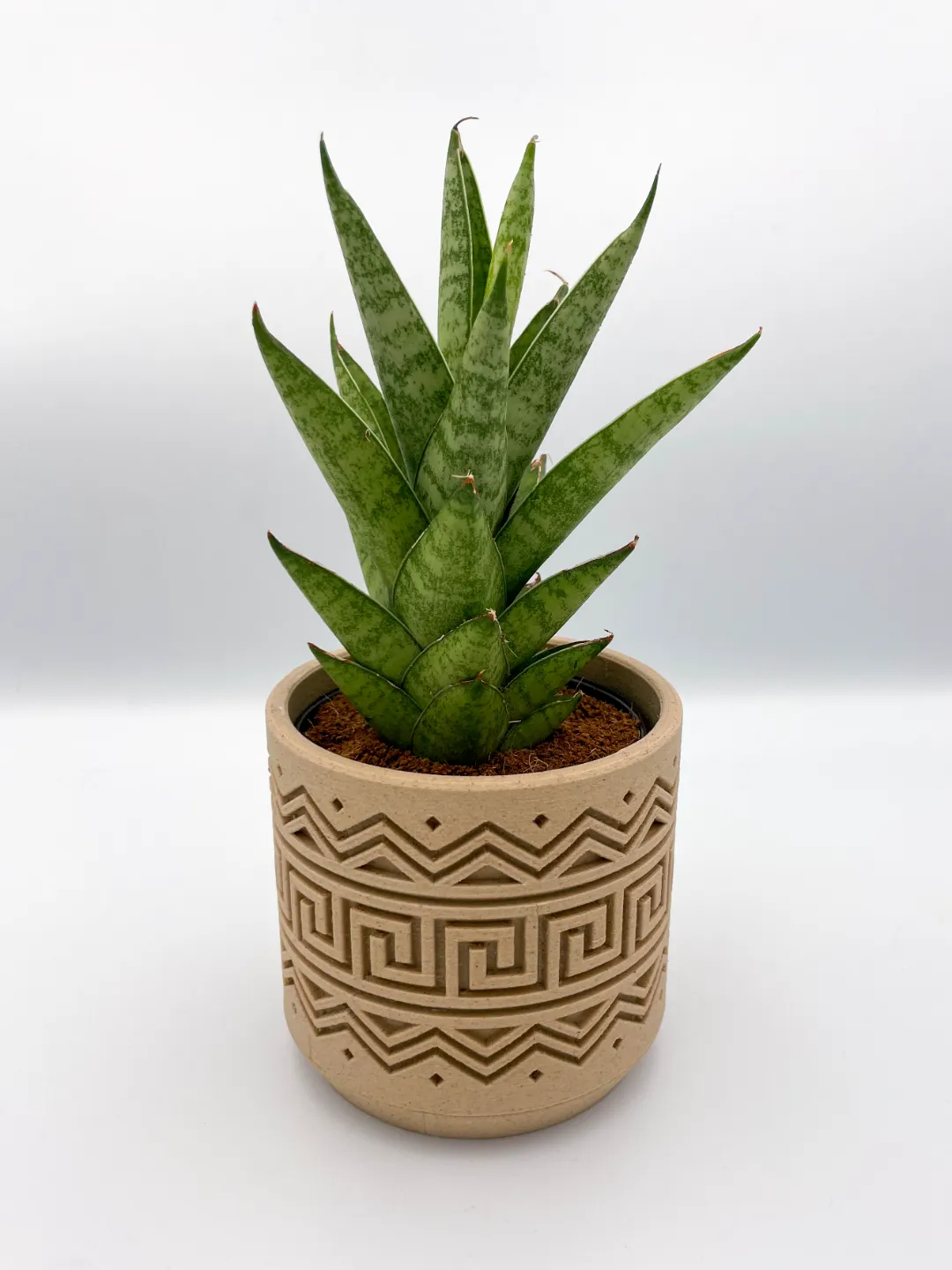 #5 Oriental planter with twist-lock drip tray, photo 3 of 3 - #5 Oriental planter with twist-lock drip tray Garden & Outdoor