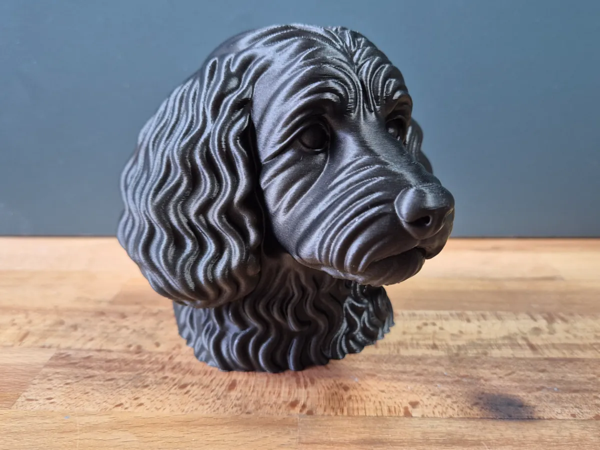 Cockapoo Bust