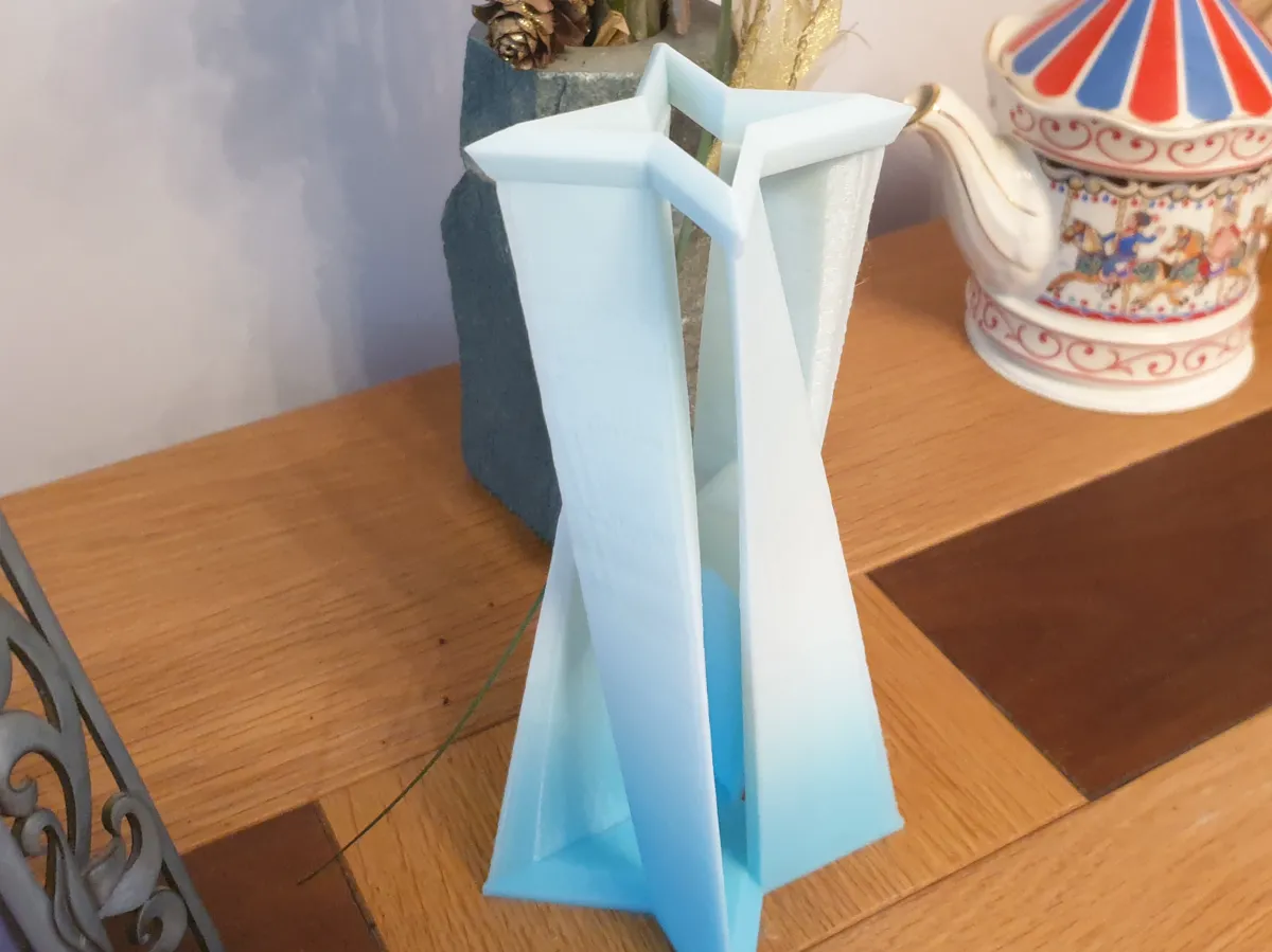 Modern Vase for dried flowers