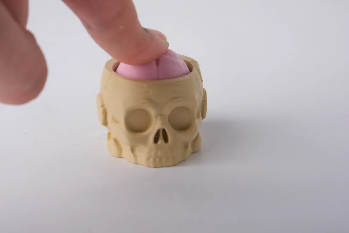 Skull Brain Clicker Toy Spooky Halloween Fidget, photo 2 of 3 - Skull Brain Clicker Toy Spooky Halloween Fidget Fidget & Sensory Toys