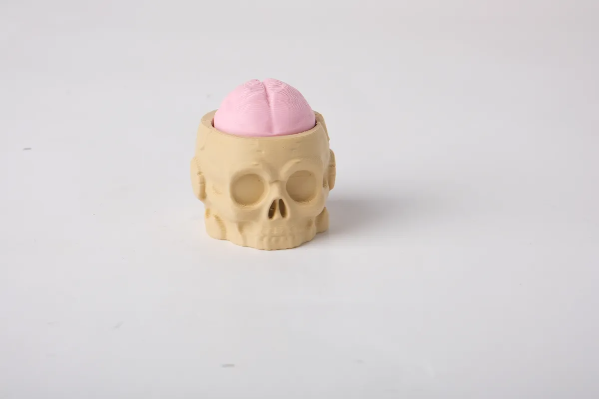 Skull Brain Clicker Toy Spooky Halloween Fidget, photo 3 of 3 - Skull Brain Clicker Toy Spooky Halloween Fidget Fidget & Sensory Toys